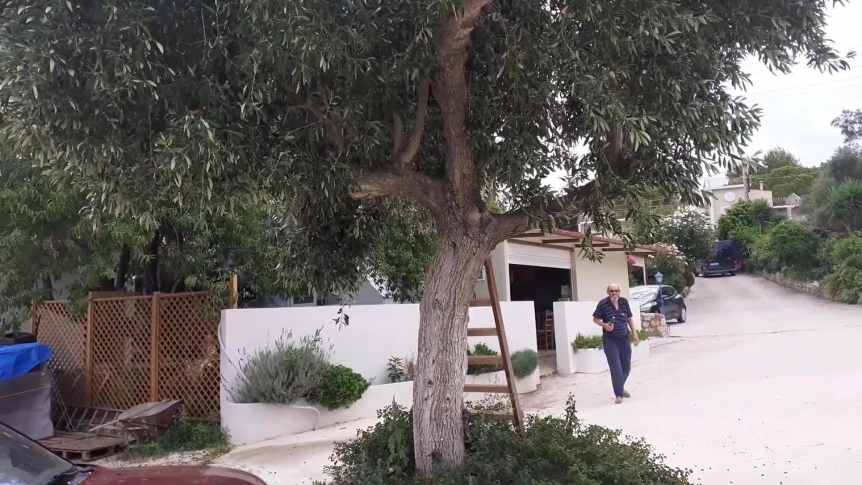 Appartement Tzogias Nonna Lassi (Kefalonia)